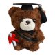 thumbnail image 2 of Llavero de oso de graduación, muñeco de peluche de 15 cm con birrete para mochila, bolso o llaves, lindo recuerdo de graduación de tela suave para estudiantes y graduados., 2 of 9