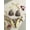 Light Yellow, variant on Women's Vintage Leopard Print Frill Tie Neck Tassel Bikini Set - Red Trim Beach Swimwear