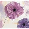 thumbnail image 2 of Sommers, Mindy 12x12 Black Ornate Wood Framed with Double Matting Museum Art Print Titled - Plum Poppies II, 2 of 4