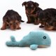 thumbnail image 5 of Juguete masticable para perros Colco Ballena Squeaker Azul, 5 of 8