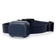 thumbnail image 1 of Collar de adiestramiento extra para perro PetSafe Core, resistente al agua, con LED, 1 of 8