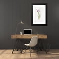 thumbnail image 4 of William Rickatson Dykes 16x24 Black Modern Framed Museum Art Print Titled - Iris Sikkimensis (1913), 4 of 5