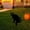 C, variant on Acrylic Garden Stake Kitty Statue Luminous Eye Stickers Outdoor Yard Lawn Decorative Animal Ornament Weather Resistant Ground Insert Garden Art Gift Decor Figurine Cat Yard Decoration Stake