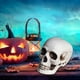 thumbnail image 5 of Halloween Skeletons Plastic Realistic Fake Simulation Human Skull HeadBone Model Halloween Prop Realistic Mini Skeleton Spooky Halloween Decoration, 5 of 5