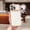 White, variant on Case for iPhone 16 Pro Max, Luxury Plating Case for Women Girls Cute Wave Shaped Electroplated Edge Shockproof TPU Bumper Cover with Camera Lens Protector Case for iPhone 16 Pro Max, Rosegold