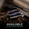 thumbnail image 6 of 6th Sense Party Minnow Soft Plastic Swimbait Drop Shot and Finesse Fishing Bait, 6 of 10