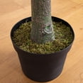 thumbnail image 6 of Nearly Natural Potted Artificial Olive Tree - 12' - Green, 6 of 9