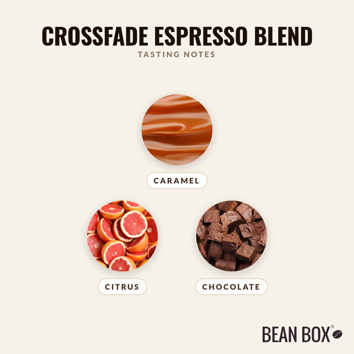 Crossfade Espresso Blend - Roasted by Broadcast Coffee Roasters - Whole Bean Coffee - 2lb Bag