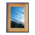 thumbnail image 1 of Aves Casa Blanca Nieve cielo Marco de imagen marco de escritorio, 1 of 4