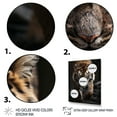 thumbnail image 3 of Designart "Extremely Detailed Tiger Portrait I" Animals Floater Framed Canvas Art Print, 3 of 7