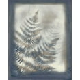 thumbnail image 2 of Stramel, Renee W. 20x24 White Modern Wood Framed Museum Art Print Titled - Shadows and Ferns VI, 2 of 4
