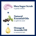 thumbnail image 3 of Dr Teal's Shea Sugar Body Scrub, Black Elderberry with Essential Oils, 19 oz, 3 of 11