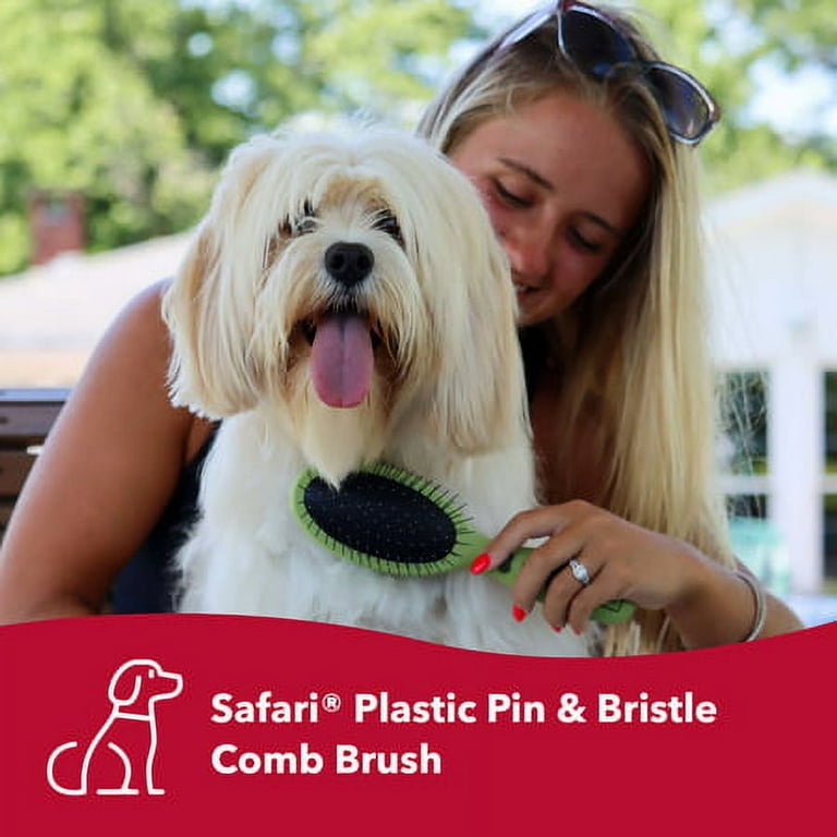 Safari pin shop and bristle brush