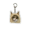 thumbnail image 6 of SSKFHGI Cute Dog Funny Cat Keychain KeyRing Key Chains Cartoon Pendant Gift For, 6 of 8