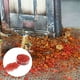 thumbnail image 3 of Decoración de mesa CUTICAT de Arena con diseño de jardín de Hadas modelo Estático de Hoja en miniatura 40g rojo, 3 of 4