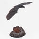 thumbnail image 3 of Figura de acción de Mothra Rodan, película King Kong vs. Gojira (2019), modelo de dinosaurio Kaiju Monsterverse, juguetes de acción coleccionables, regalos, 3 of 6