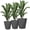 Gray, variant on Canddidliike Indoor Outdoor Planters Set of 3 MgO Tall Planters Stackable Flower Pots, Modern Tall Planters with Drainage Holes for Outdoor as Garden, Balcony, Black