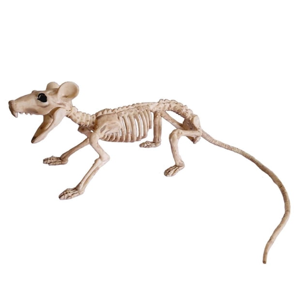 Murciélago ratón Cuervo esqueleto huesos Halloween Animal Horror terrorífico adornos Halloween espeluznante Decoración Accesorios fiesta
