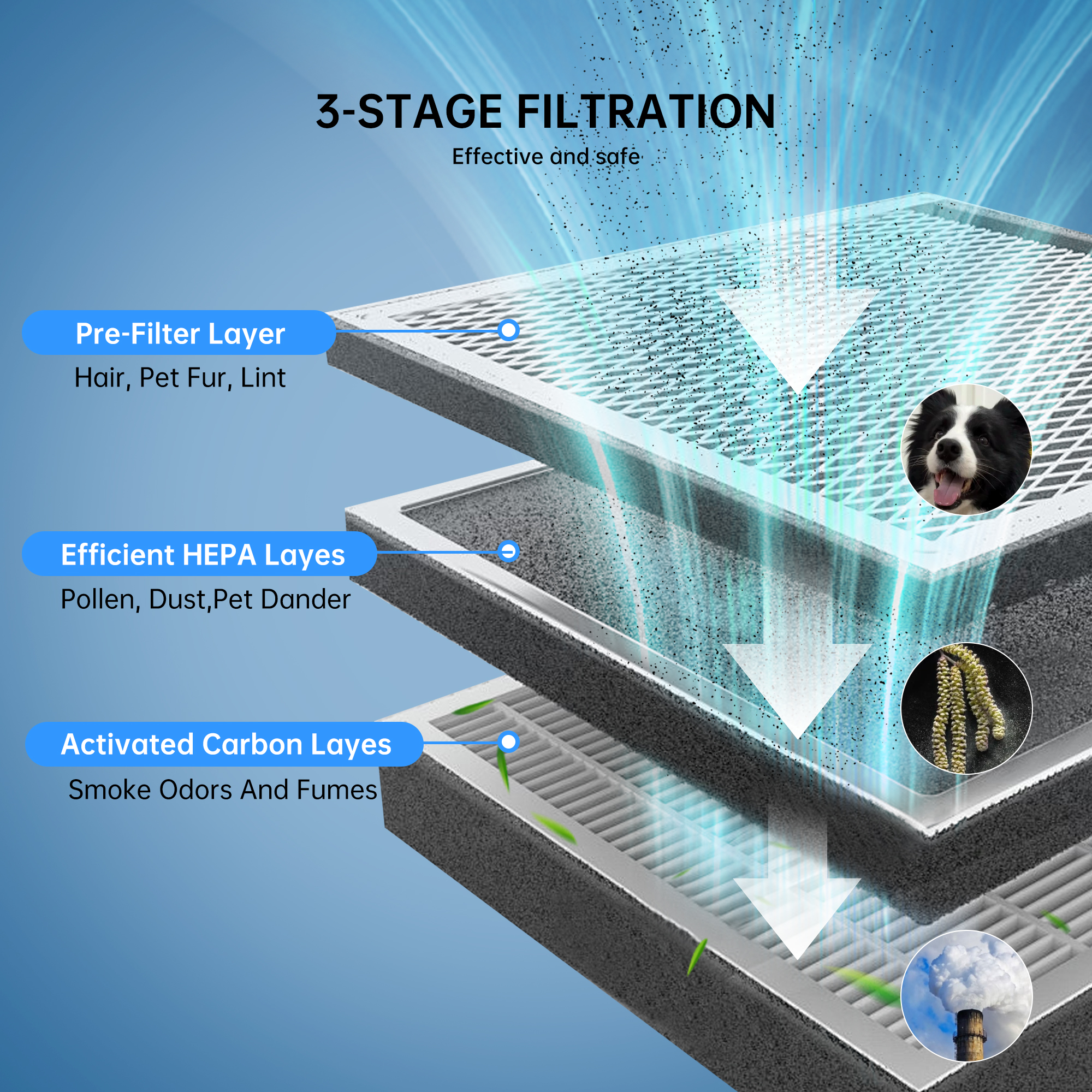 AIRPLUS Air Purifiers for Home Large Rooms up to 5000 Ft², H13 True HEPA 99.97% Filtration with Sleep Mode & Child Lock, 260 CFM CADR, PM2.5 Air Quality Display Removes Allergies, Pet Odor, Pollen