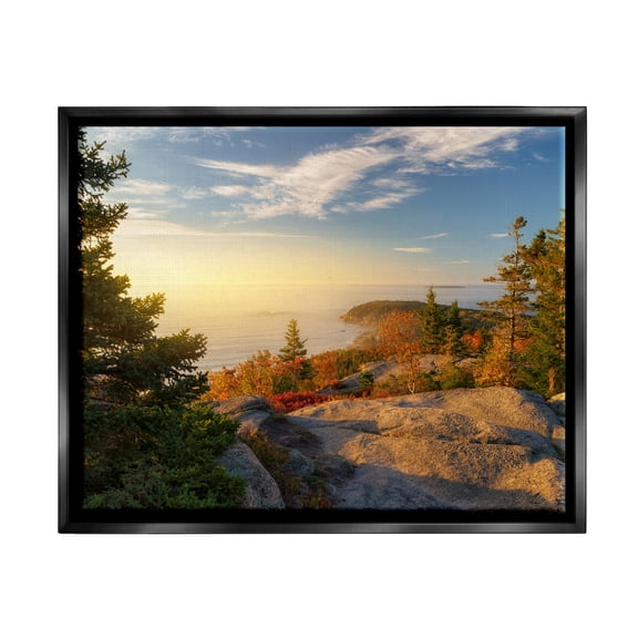 Stupell Coastal Cliffs Rocky Ocean Landscape Photography Black Floater Framed Art Print Wall Art