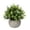 E, variant on Dusknt Artificial Potted Plants, Tabletop Decor, Home Decorations, Realistic Small Artificial Potted Fers Green Plants with Hemispherical Pulp Bonsai Pot, Yel
