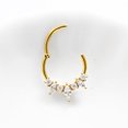 thumbnail image 7 of APIPEE Titanium Micro Cubic Zirconia Hinged Nose Hoop Ring Body Jewelry Unisex, 7 of 7