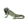 thumbnail image 2 of Design Toscano QL56991 Iggy The Iguana Garden Statue, 22 Inch, Large, Full Color, 2 of 3