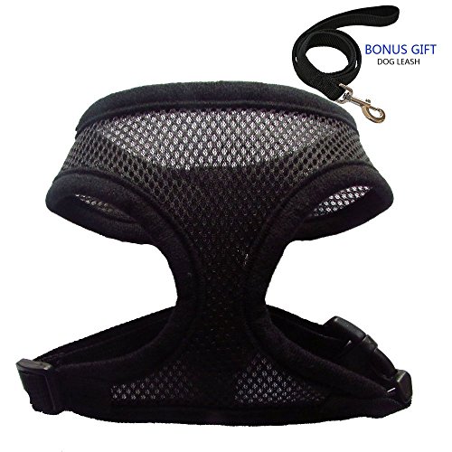 Pet club No Pull Dog/cat/Rat Harness and Leash Set for Walking, Padded