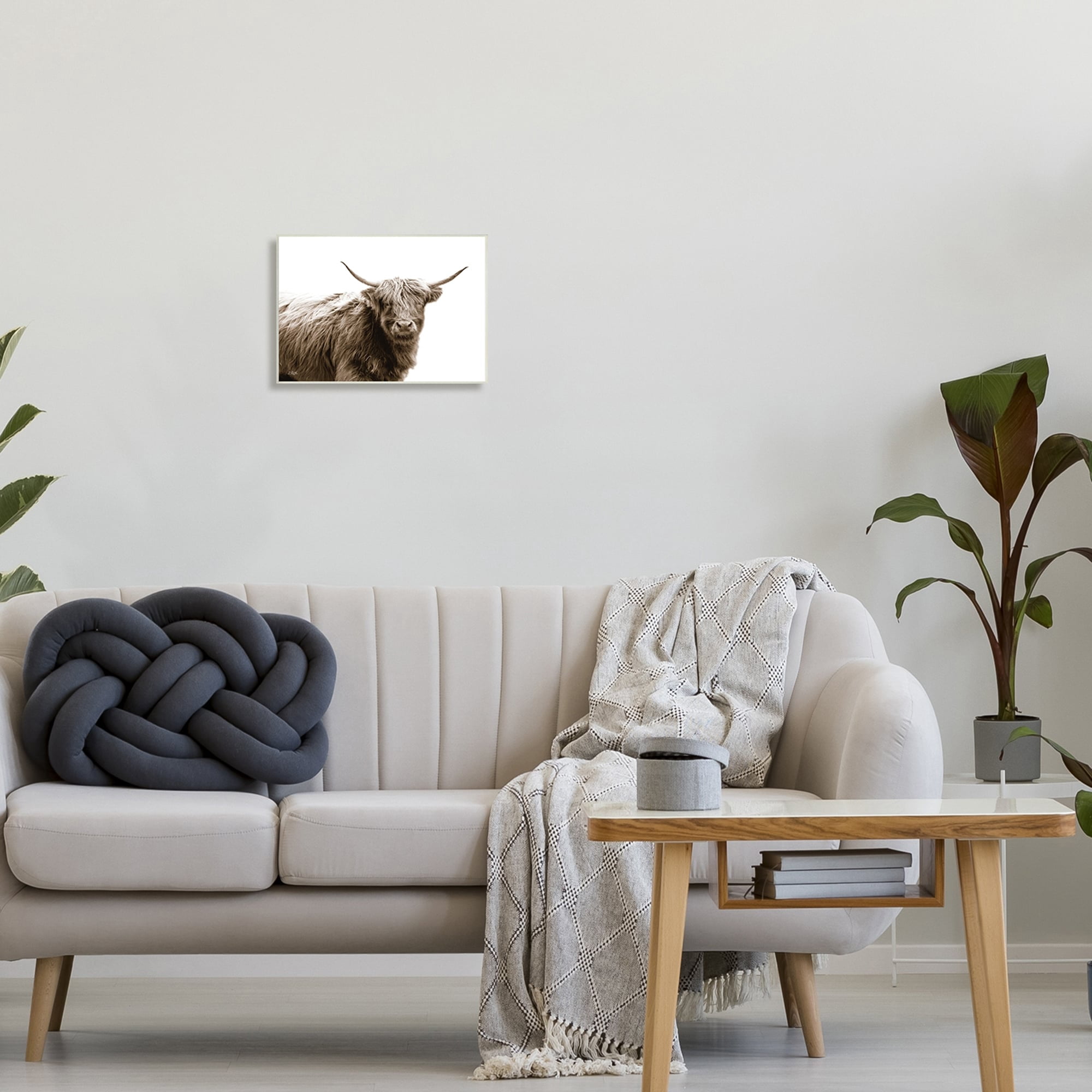 Stupell Industries Quaint Longhorn Cattle Country Animal Photography Wood Wall Art, 19 x 13, Design by Donnie Quillen