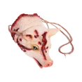 thumbnail image 3 of 1pc Halloween Decor Lightweight Scary Realistic Hanging Horror String For Halloween Party Haunted House, 3 of 4