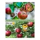 thumbnail image 3 of Paquete de 2 Trampas Solares de Avispas Colgantes Al Aire Libre, Avispas Colgantes con Luz para Chaquetas Amarillas, Avispones, Abejas, Trampas para Avispas, 3 of 5