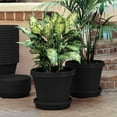 thumbnail image 4 of Bloem Terra Plant Saucer Tray 13 x 2.5 Plastic Round Black, 4 of 7