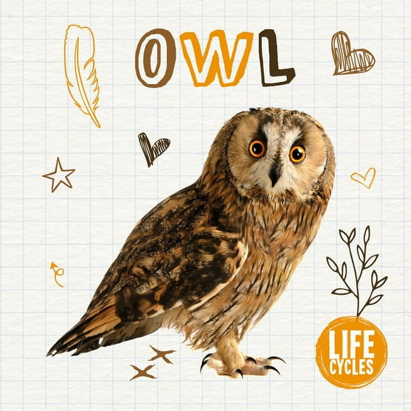 Life Cycles: Owl (Hardcover)