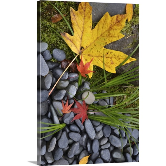 Great BIG Canvas | "Maple Leaves II" Canvas Wall Art - 24x36