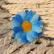 thumbnail image 1 of 4 cm de dos capas de pequeño crisantemo girasol simulación de girasol flor crisantemo cabeza de flor, 1 of 6