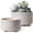 Reactive Glaze Star White, variant on BEMAY 2-Pack 8+6.5 inch White Ceramic Succulent Pots with Drainage Holes for Indoor, Patio, and Garden Decor Plant Pots