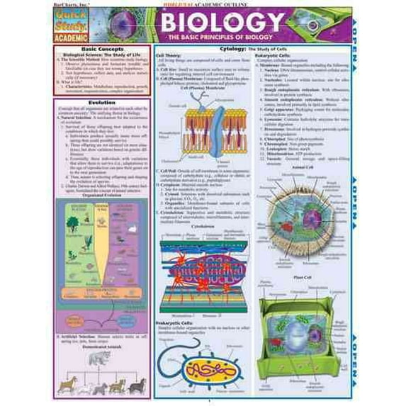Pre-Owned Biology (Quickstudy Reference Guides - Academic) (Unknown) 1572227419 9781572227415
