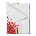 thumbnail image 2 of Modern Soft Flannel Fleece Throw Blanket, Summer Fruit Ripe Watermelon Cuts Splashes of Juice Drops Print, Cozy Plush for Indoor and Outdoor Use, 60" x 80", Red White and Fern Green, by Ambesonne, 2 of 5