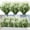 White, variant on 6 Bundles Artificial Lavender Flowers Faux Plants Fake Flowers Outdoor UV Resistant No Fade Garden Porch Window Box Decor(White)
