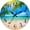 Coconut Tree, variant on VOCOO 10'' Quartz Sunset Round Wall Clock Modern Art Decorations for Home, Kitchen, and Bedroom (Battery Operated) Ideal Gift