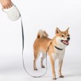 thumbnail image 3 of Youpin Dog Retractable Leash 5 Meter Dog Traction Rope Break Lock System Pet Leash Traction Rope Walking Lead Leash, 3 of 9