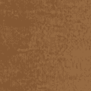 X-Brown Bongo