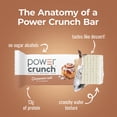 thumbnail image 2 of Power Crunch Cinnamon Bars Carton 1.4oz, 5 Count, 2 of 13