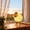 A19 A 9.1x7.3x5.9" a, variant on Soft Night Light For Kids And Nursery Cuddly Sheep Lamp With Dimmable Warm Glow For Bedroom And Soothing Nighttime Comfort Night Lights 7.1X6.1X3.9" Home Decor