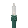 thumbnail image 5 of Northlight LED Mini Christmas Lights - Warm White  - 15.75’ Green Wire - 50ct, 5 of 6