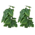 thumbnail image 1 of 2 PCS Artificial Water Plant Vine Decoration With Suction Cup For Fish, 1 of 8
