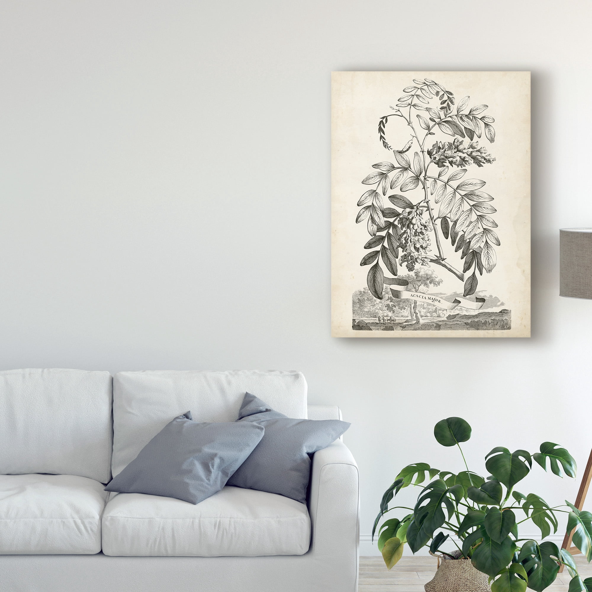 Trademark Fine Art 'Scenic Botanical I' Canvas Art by Abraham Munting