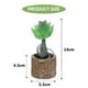 thumbnail image 2 of Mini plantas artificiales en macetas suculentas, adornos pequeños creativos para interiores, flores artificiales de plástico, 2 uds., 2 of 5