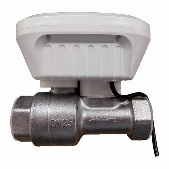 1 * Tuya Smart WiFi Water Valve(DN25 version)-White