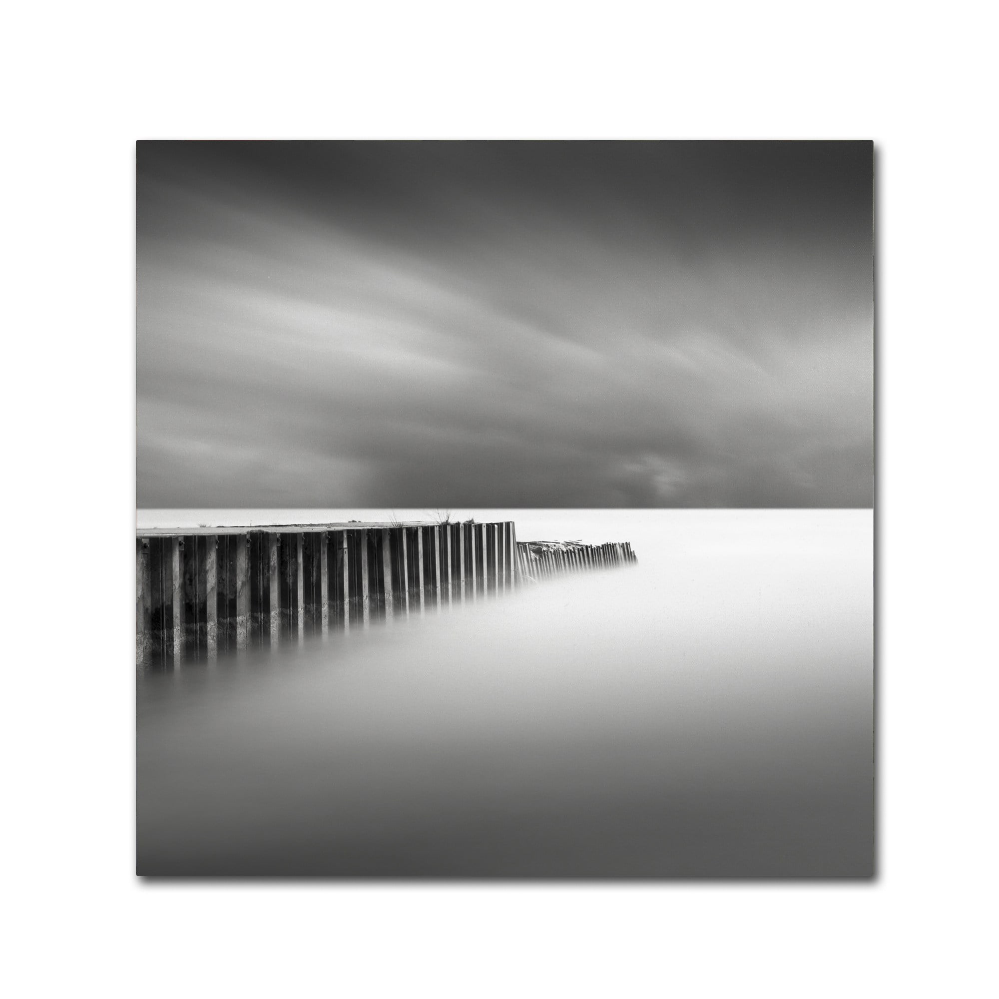 Trademark Fine Art Dave MacVicar 'Stormy' 24 x 24 (ALI0855-C2424GG)